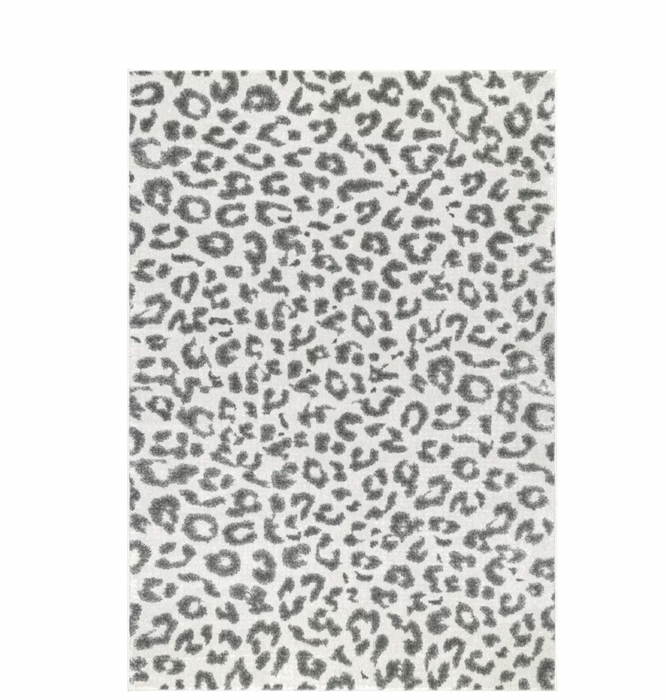 10' x 14' nuLOOM Contemporary Leopard Print Area Rug Cleveland Home Outlet (OH) Furniture Store in Cleveland Ohio