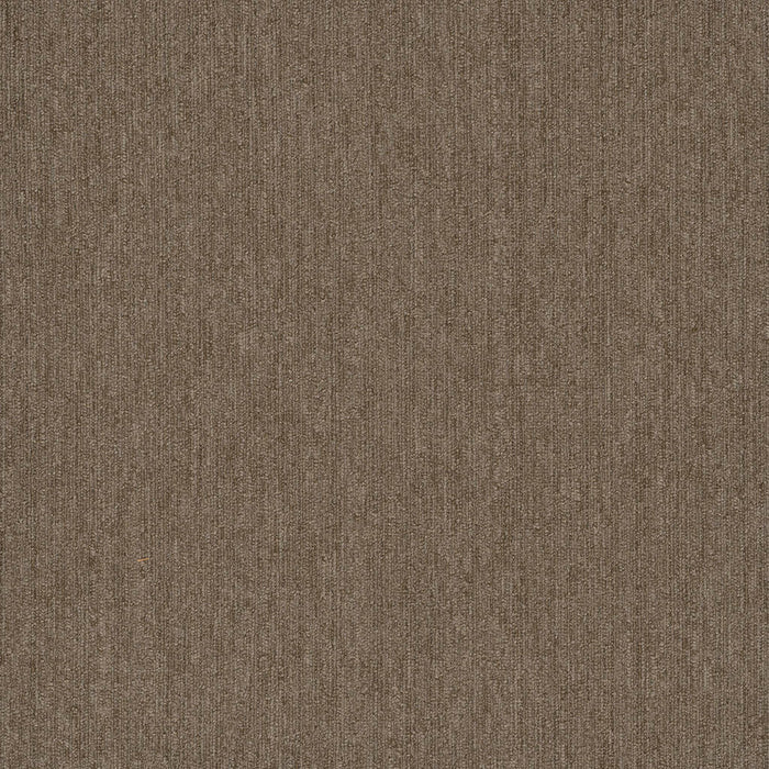Pentz - Colorpoint - Carpet Tile