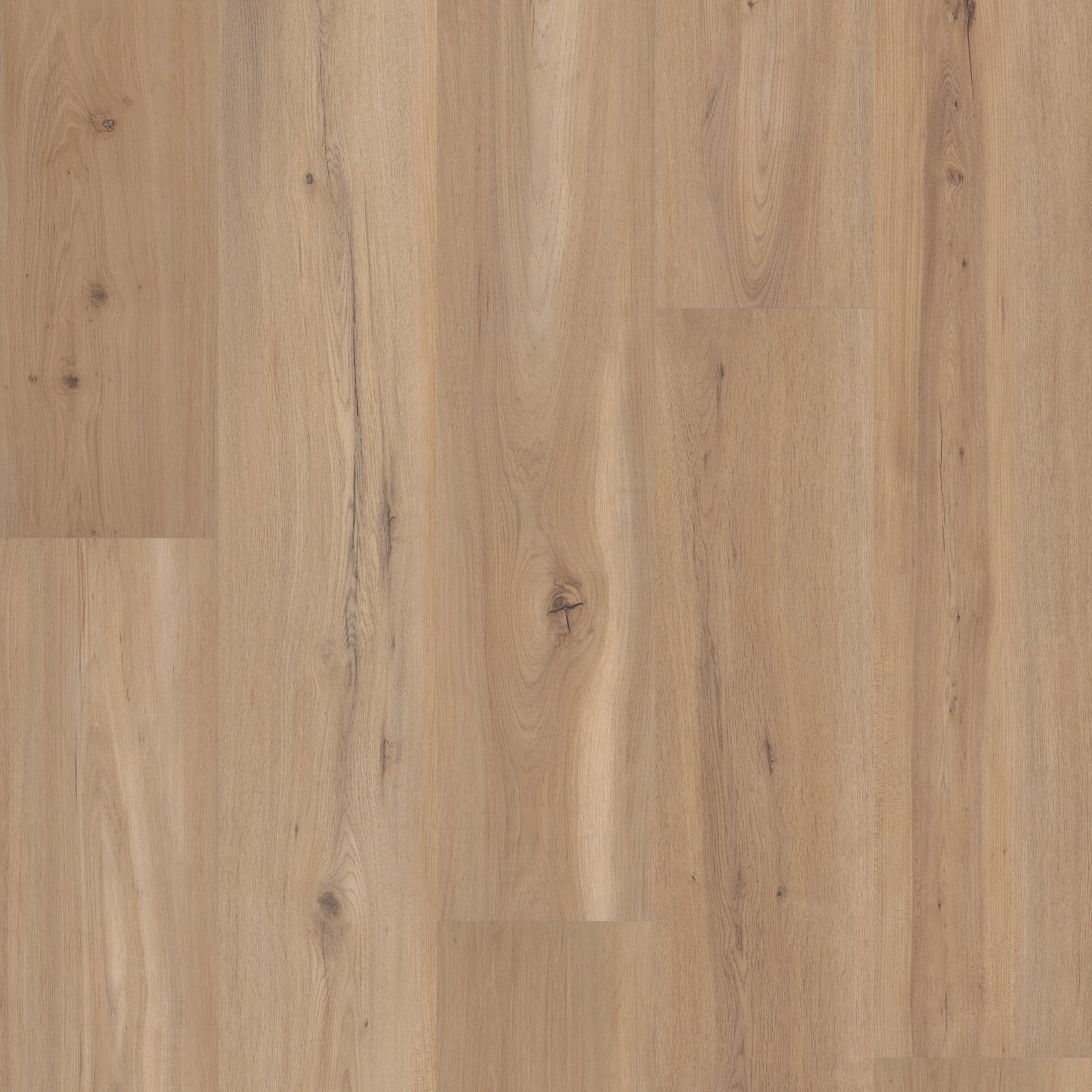 COREtec - Originals Premium - VV810 - Blonde Oak - Vinyl Floor