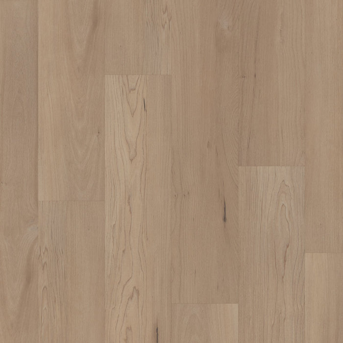 COREtec - Pro Premium - VV800 - Hatfield Maple - Vinyl Floor Planks