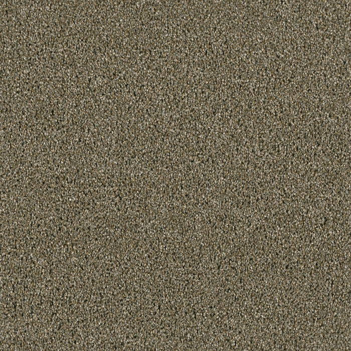 DreamWeaver - Acclaim - Carpet