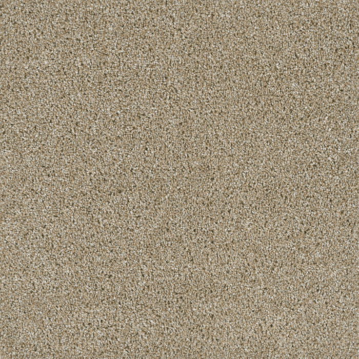 DreamWeaver - Acclaim - Carpet