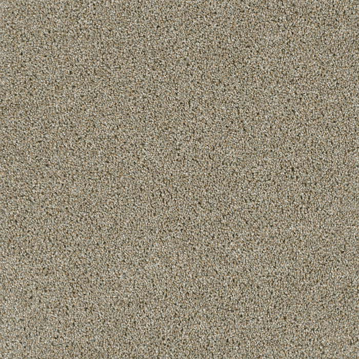 DreamWeaver - Acclaim - Carpet