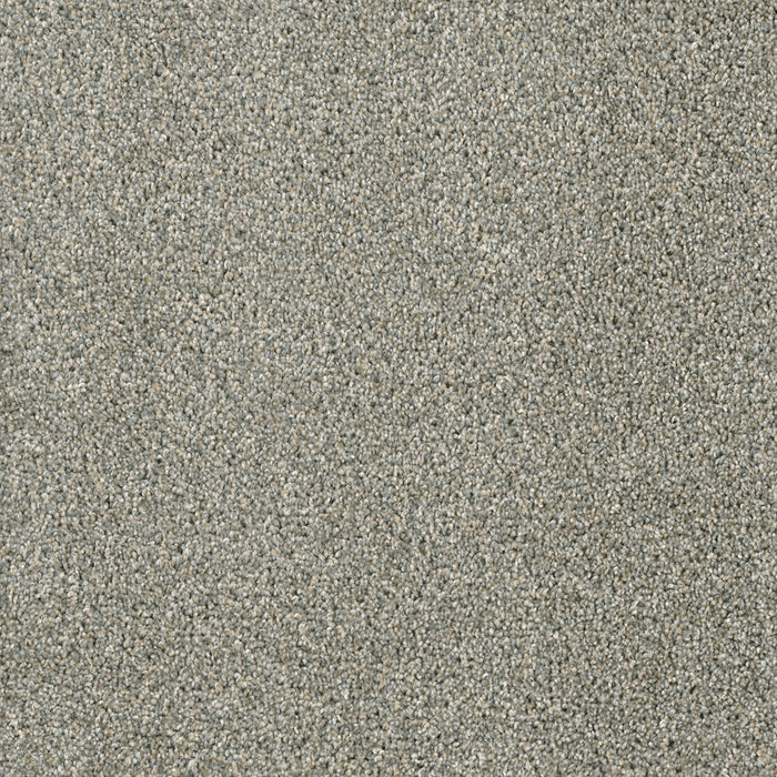 DreamWeaver - Acclaim - Carpet