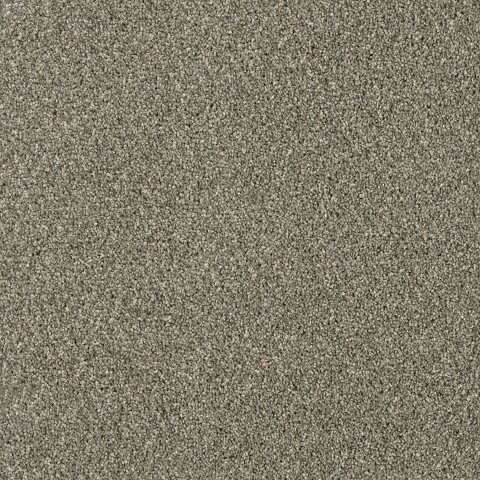 DreamWeaver - Acclaim - Carpet