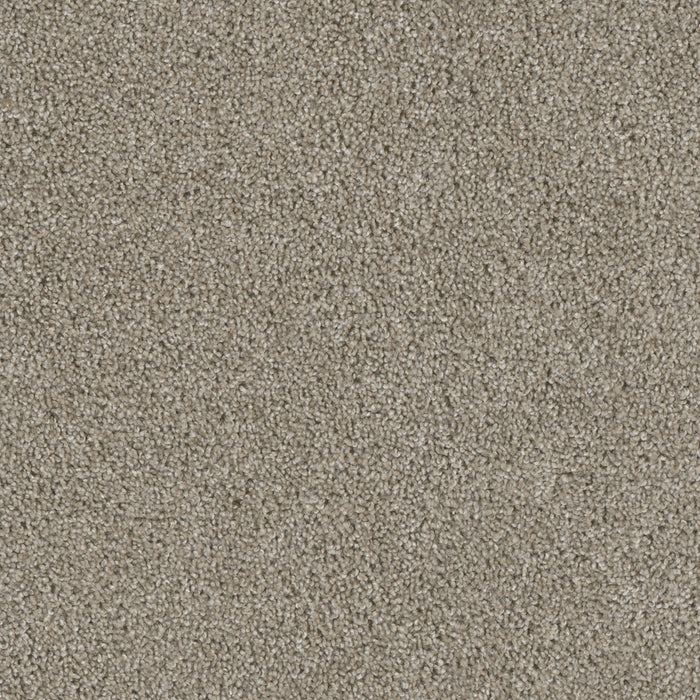 DreamWeaver - Acclaim - Carpet