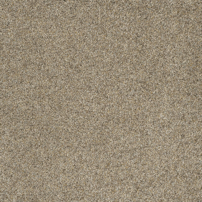DreamWeaver - Astounding II - Carpet