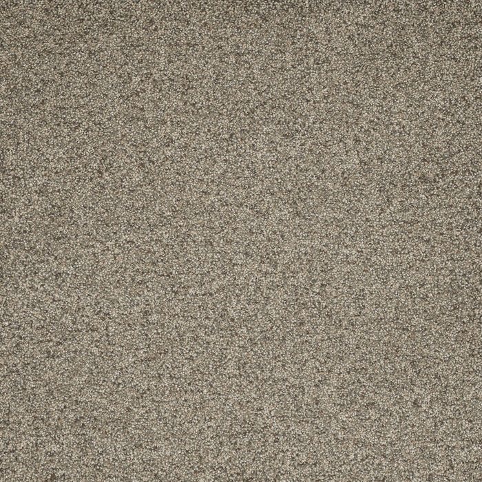 DreamWeaver - Astounding II - Carpet