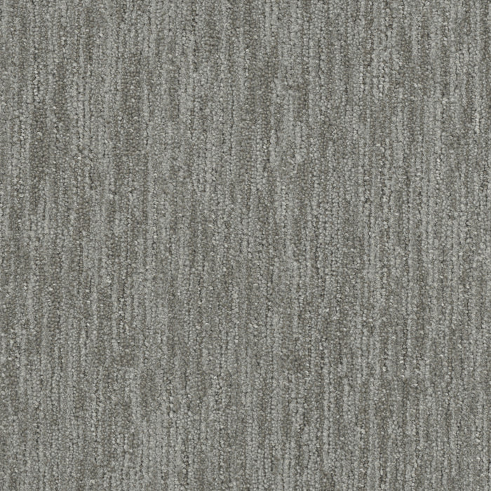 DreamWeaver - Baja - Carpet