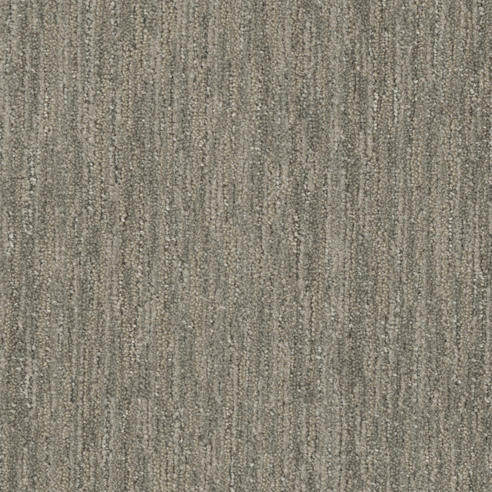 DreamWeaver - Baja - Carpet