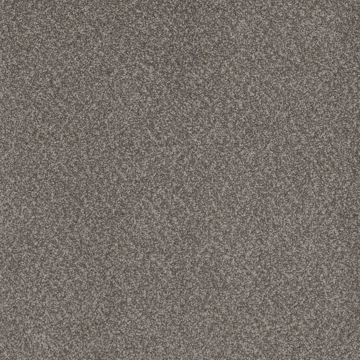 DreamWeaver - Beach Club I - Carpet