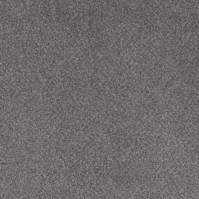 DreamWeaver - Beach Club I - Carpet