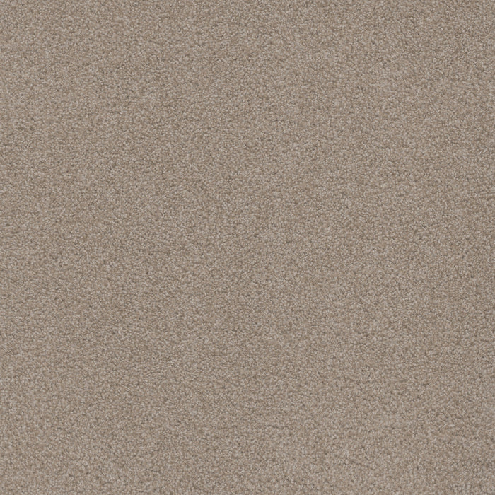 DreamWeaver - Beach Club I - Carpet