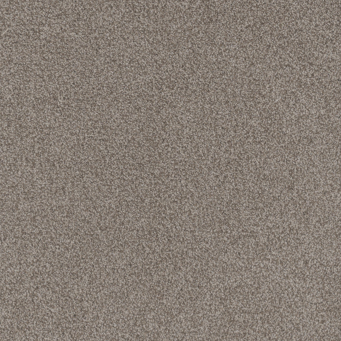 DreamWeaver - Beach Club I - Carpet