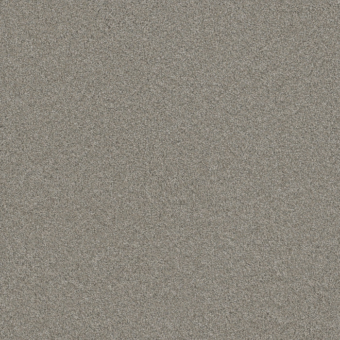 DreamWeaver - Blazer III - Carpet