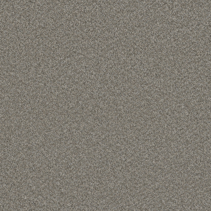 DreamWeaver - Blazer III - Carpet