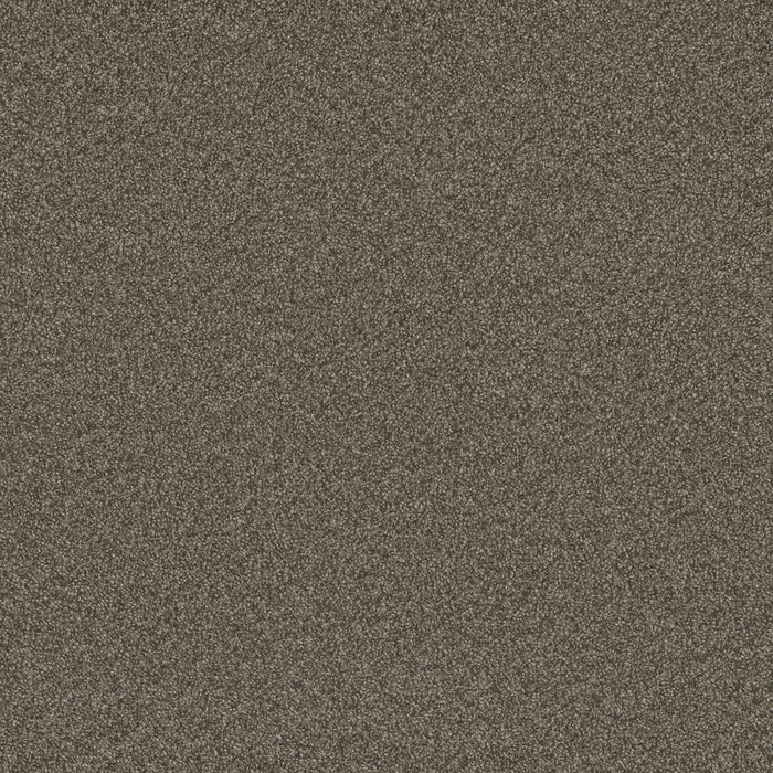 DreamWeaver - Blazer III - Carpet