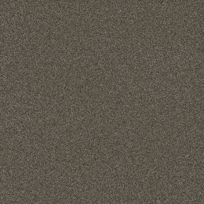 DreamWeaver - Blazer III - Carpet