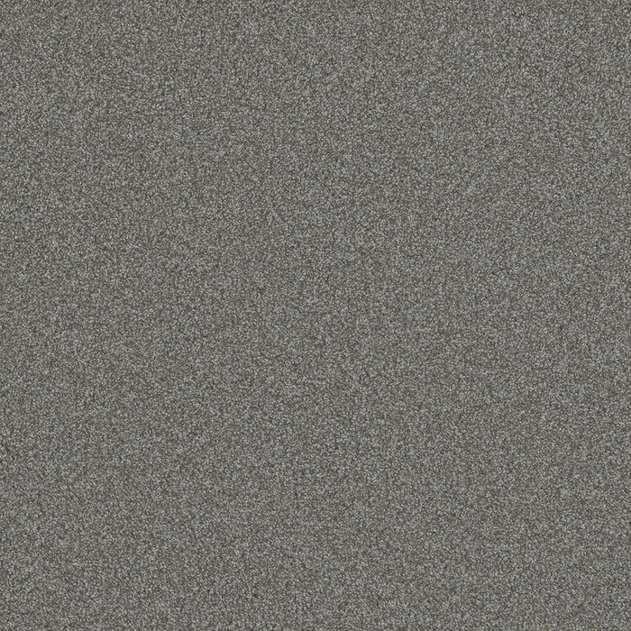 DreamWeaver - Blazer III - Carpet