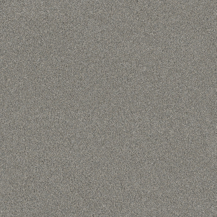 DreamWeaver - Blazer III - Carpet