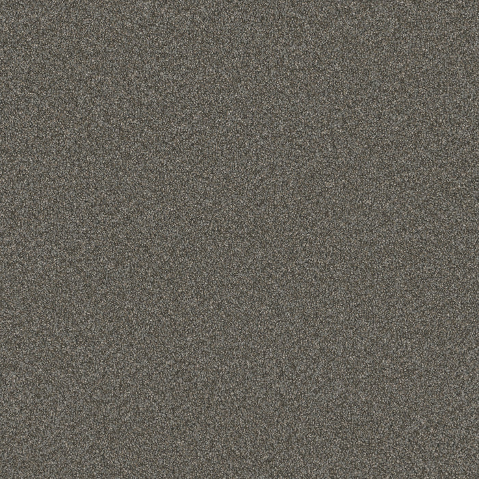 DreamWeaver - Blazer III - Carpet