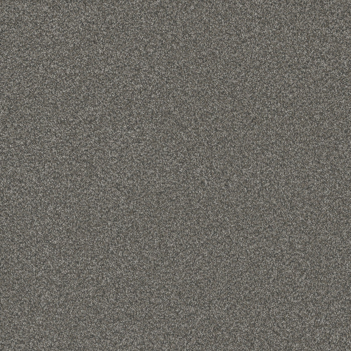 DreamWeaver - Blazer III - Carpet