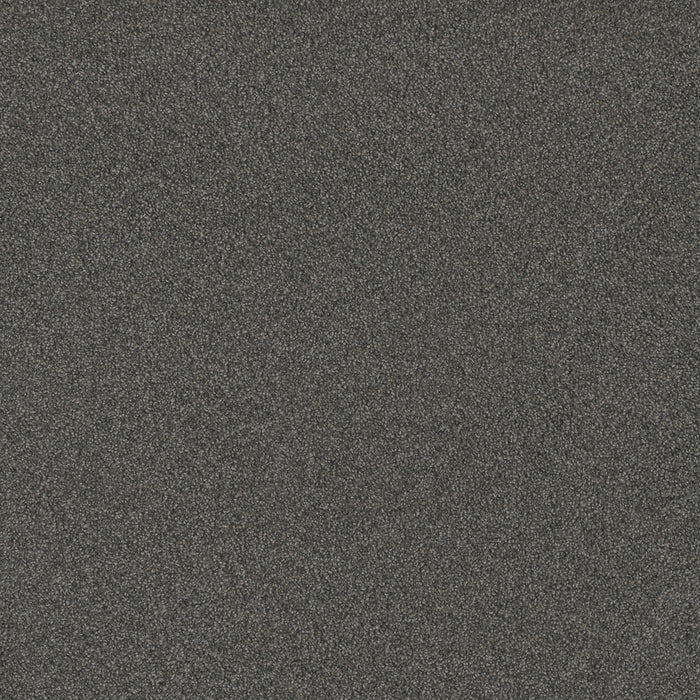 DreamWeaver - Blazer III - Carpet