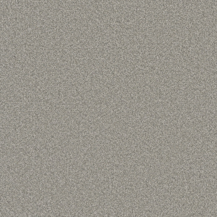 DreamWeaver - Blazer III - Carpet