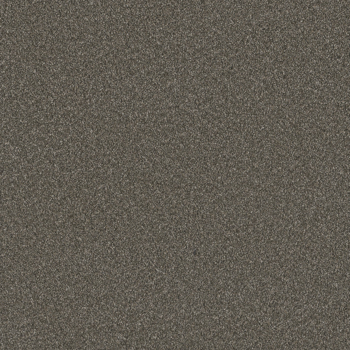 DreamWeaver - Blazer III - Carpet