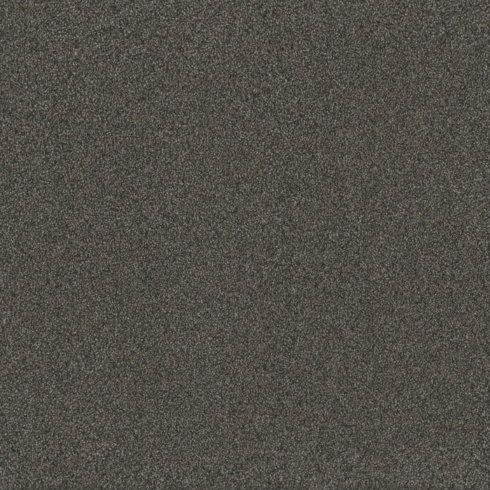 DreamWeaver - Blazer III - Carpet