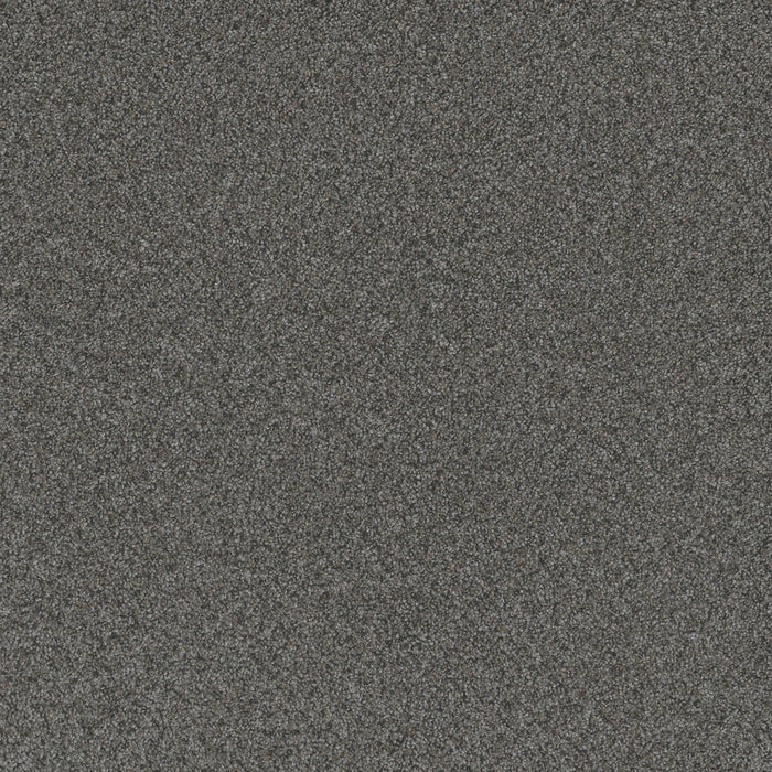 DreamWeaver - Blazer III - Carpet