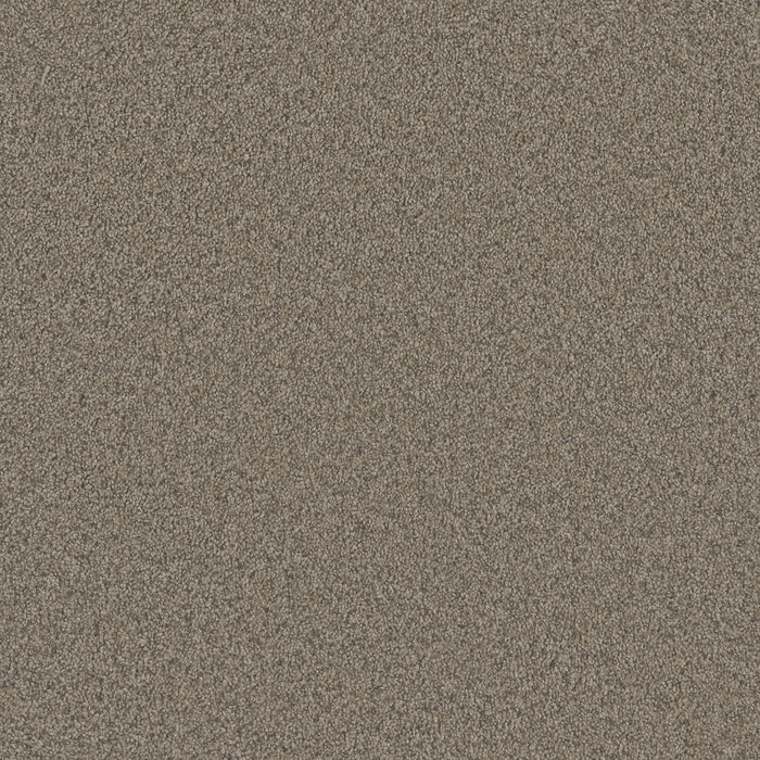 DreamWeaver - Blazer III - Carpet