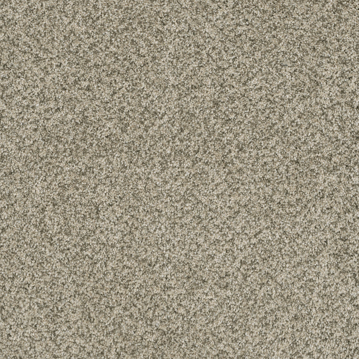 DreamWeaver - Brazen II - Carpet