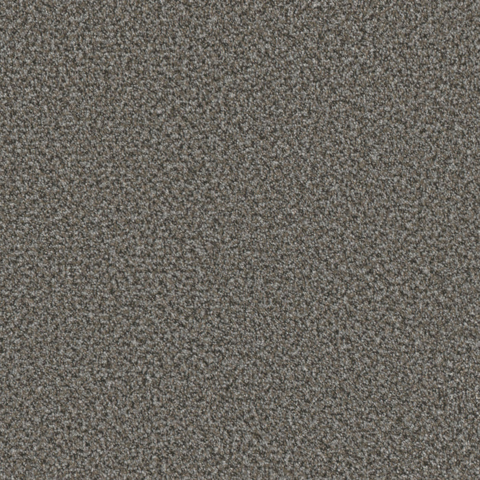 DreamWeaver - Brazen II - Carpet