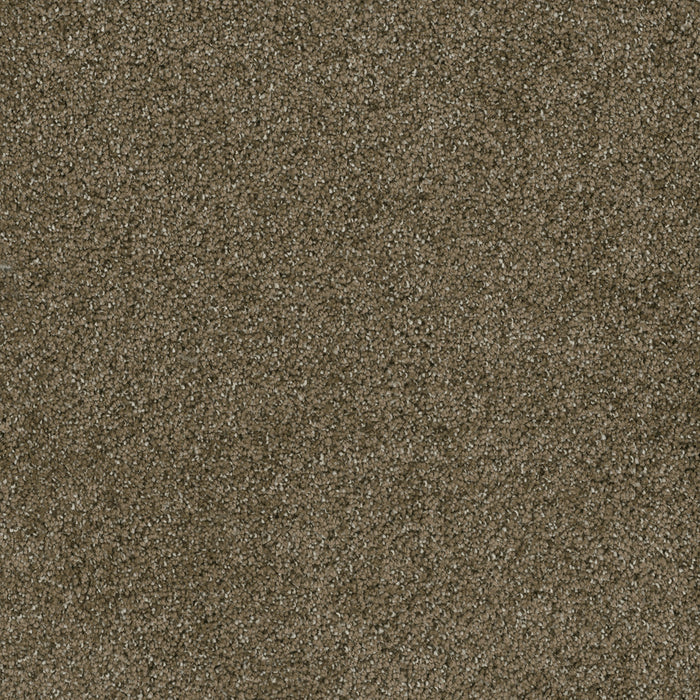 DreamWeaver - Brazen II - Carpet