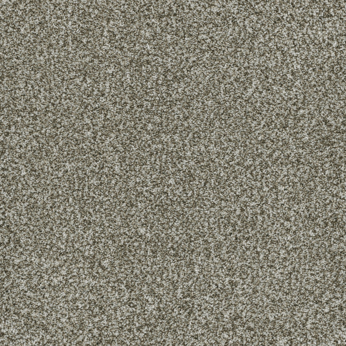 DreamWeaver - Brazen II - Carpet