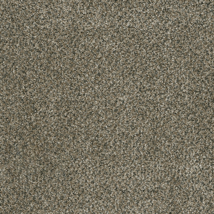 DreamWeaver - Brazen II - Carpet