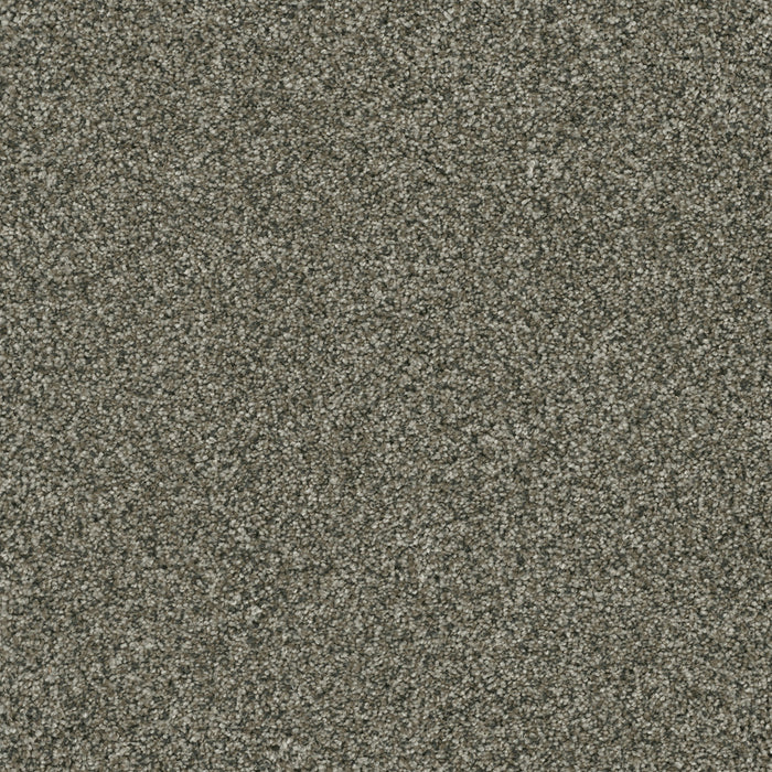 DreamWeaver - Brazen II - Carpet
