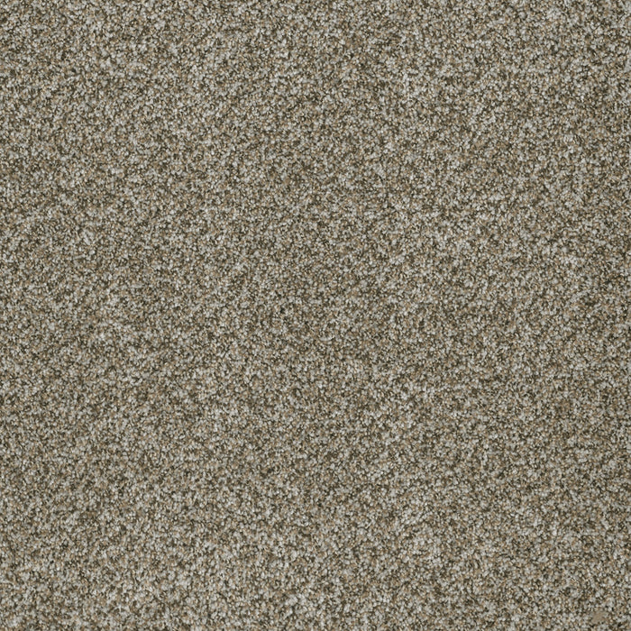 DreamWeaver - Brazen II - Carpet