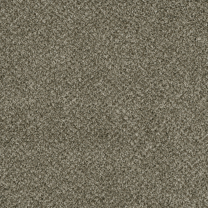 DreamWeaver - Brazen II - Carpet