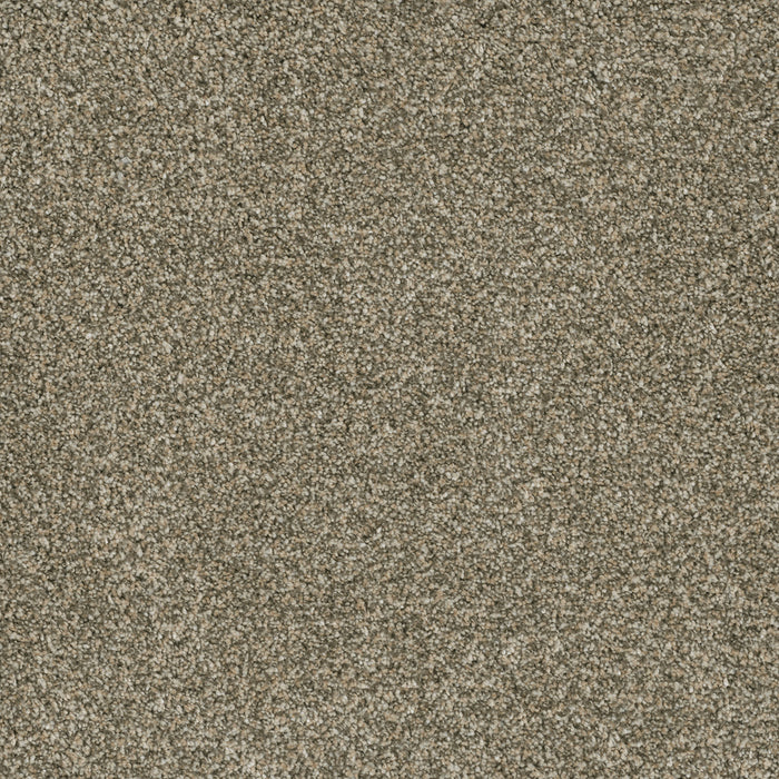 DreamWeaver - Brazen II - Carpet