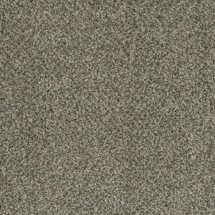 DreamWeaver - Brazen II - Carpet