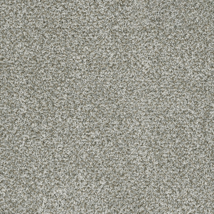 DreamWeaver - Brazen II - Carpet