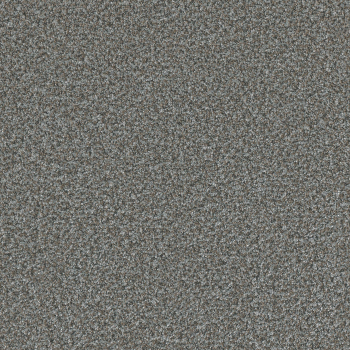DreamWeaver - Brazen II - Carpet