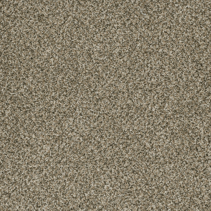 DreamWeaver - Brazen II - Carpet