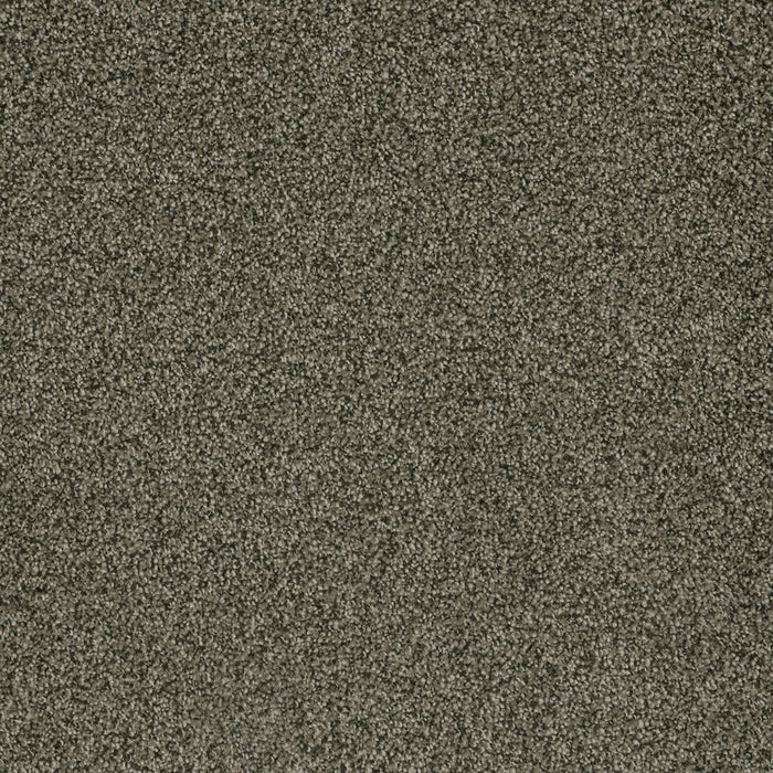 DreamWeaver - Brazen II - Carpet