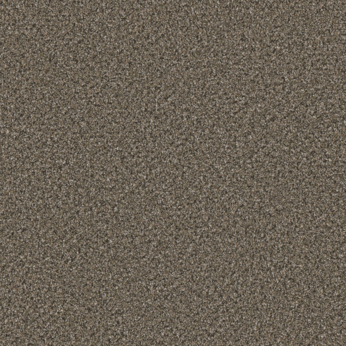 DreamWeaver - Brazen II - Carpet