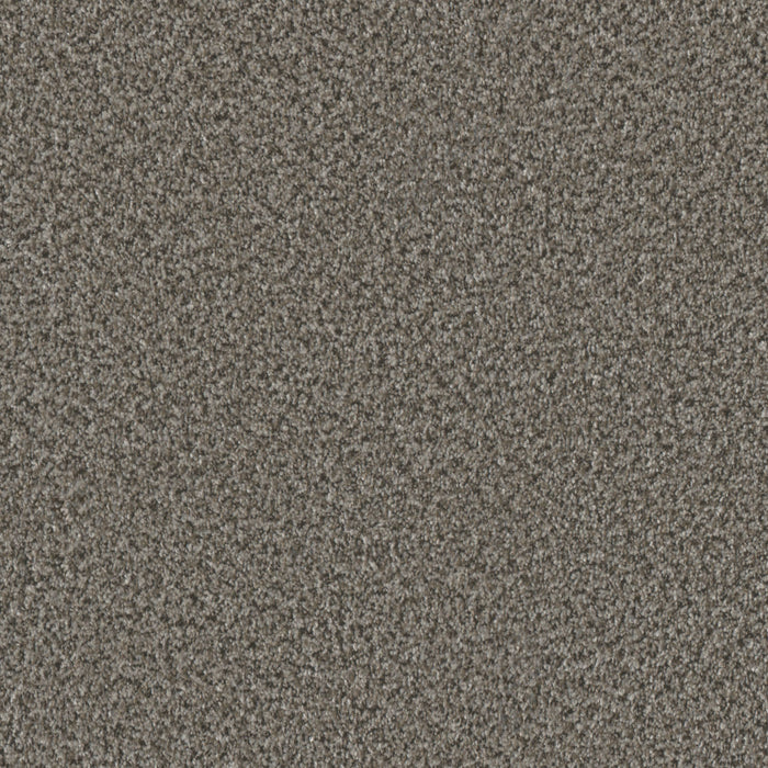 DreamWeaver - Brazen II - Carpet