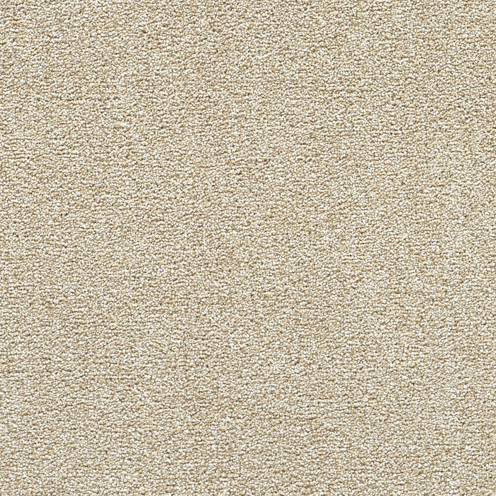 DreamWeaver - Breakview III - Carpet