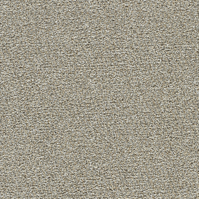 DreamWeaver - Breakview III - Carpet
